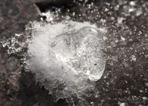 blog heart ice